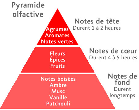 Piramide-parfum---frans