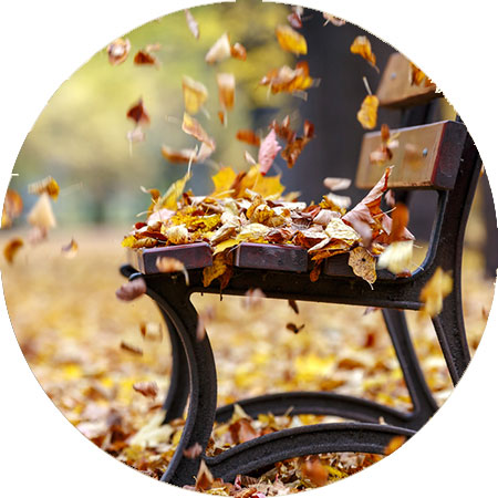 foto herfstkleuren herfst