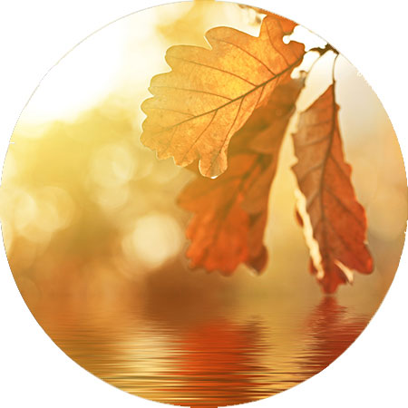 herfst foto herfstkleuren