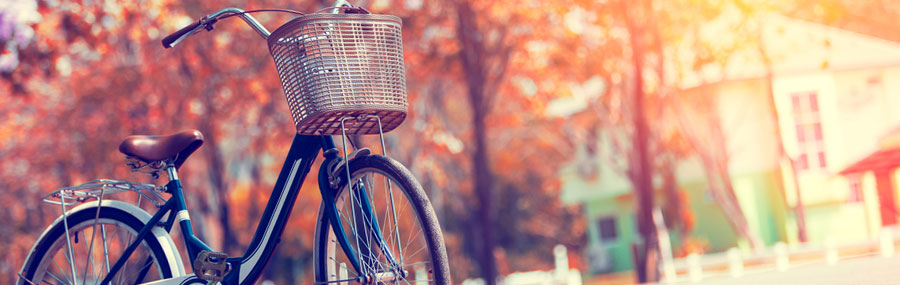 herfst herfstkleuren foto