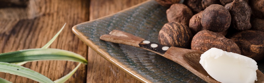 shea butter and shea nuts. Ingredients of many cosmetics
