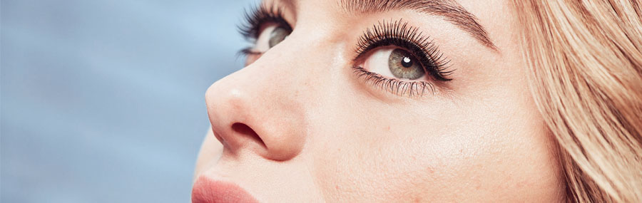 Bambi - header