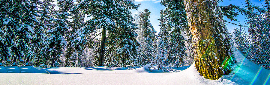 5-handige-tips-voor-de-mooiste-sneeuwfotos-header