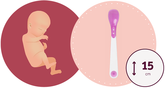 vergelijkingsafbeelding