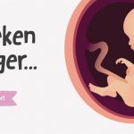 20e semaine de grossesse : la semaine de l’échographie