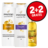 Vlaanderen_1357408_Kruidvat Online - Banner-M_25.png