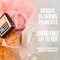 Maybelline New York Fit Me 01 Translucent Mattifying Setting Powder