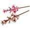 LEGO Botanicals Les Fleurs de Cerisier 40725