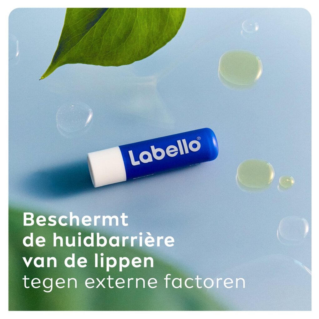 Labello Baume à Lèvres Original
