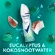 Rexona Advanced Protection Thermocool Deospray Eucalyptus & Coconut water