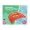 Chaise Aquatique