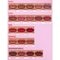 Sheglam Dynamatte Rose Long Lasting Matte Lipstick