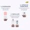 Dove No.41 Peony & Pineapple Antitranspirant Deodorant Navulling