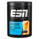 ESN Whey Protein Isolate Isoclear Peach Iced Tea