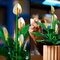 LEGO The Botanical Collection Les Fleurs de Lune 11504
