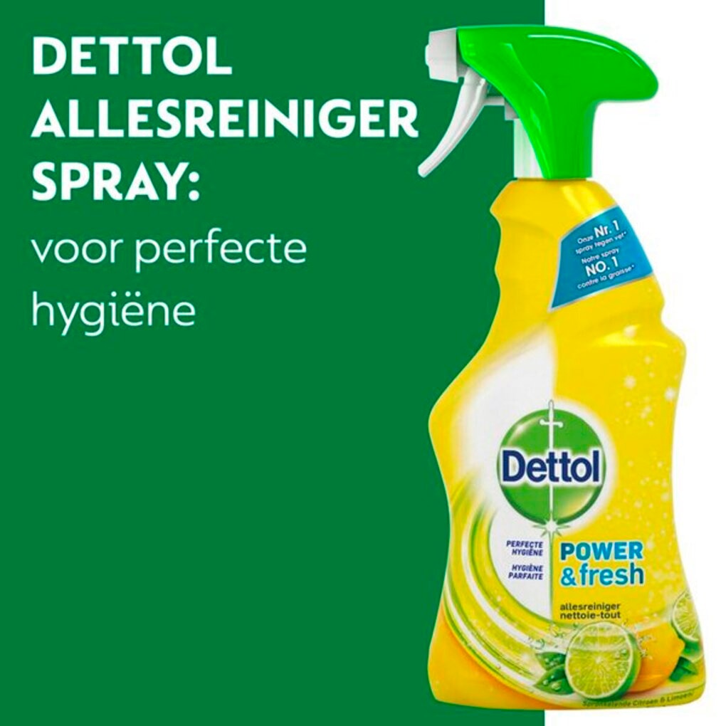 Dettol Power & Fresh Citrus Allesreiniger Spray