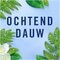 Ambi Pur Ochtenddauw 2-in-1 Luchtnevel Spray