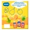 Nestlé Fruits Knijpzakjes