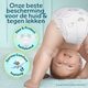 Pampers Couches Premium Protection Taille 3