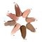 Essence Fard à Paupières en Stick Blur Nude 05 Oat Milk Glow