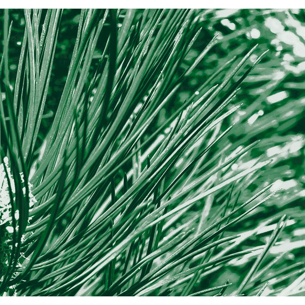 Kneipp Men Nature Feeling 2-in-1 Douchegel