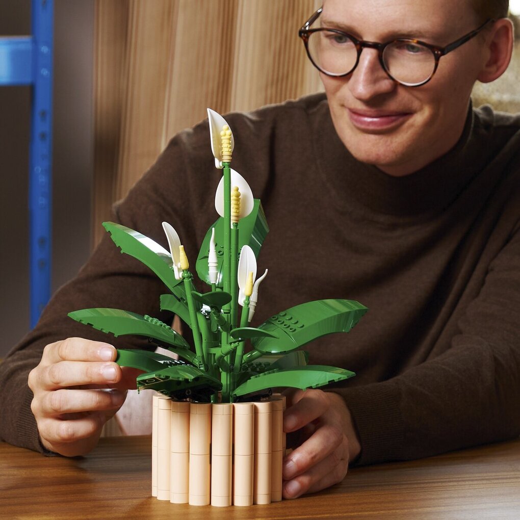 LEGO The Botanical Collection Les Fleurs de Lune 11504