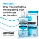 Listerine Mondwater Fresh Breath