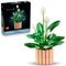 LEGO The Botanical Collection Les Fleurs de Lune 11504