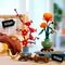 LEGO Botanicals 10369 Japanse abrikoos