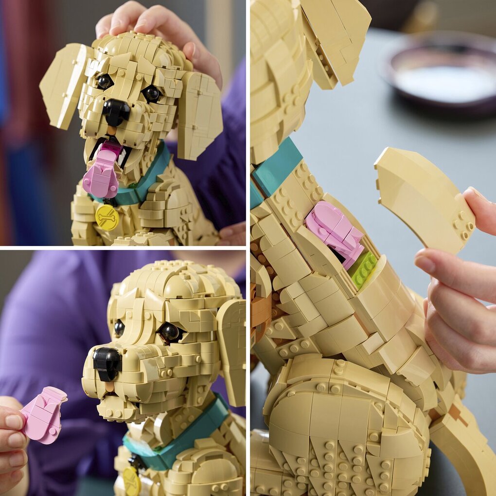 LEGO Icons Le Chiot Golden Retriever 11384