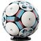 LEGO Editions-sets 43019 Voetbal