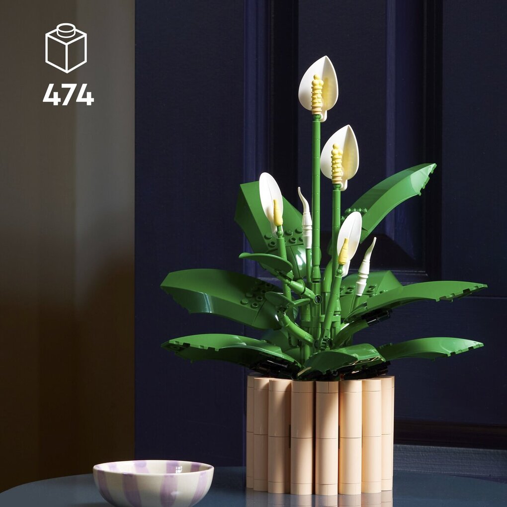 LEGO The Botanical Collection Les Fleurs de Lune 11504