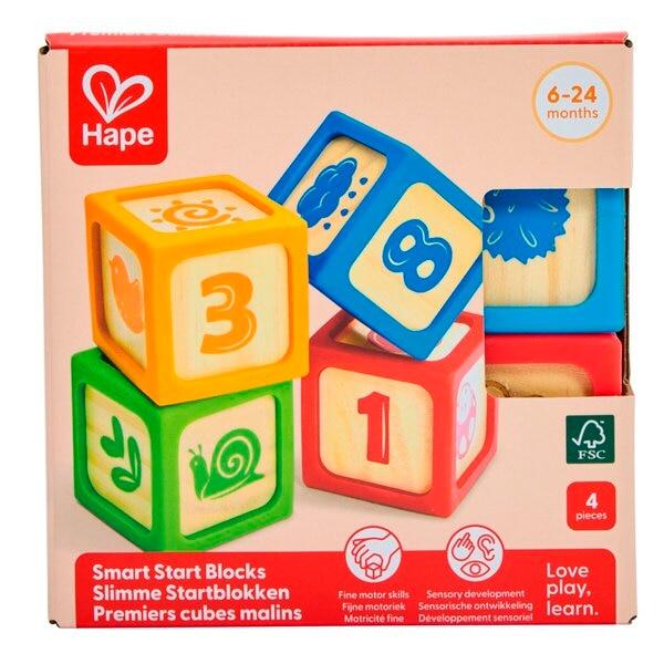 Hape Smart Start Blocks