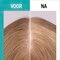Gliss Spray Cuir Chevelu Scalp Balance