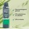 Dove Men + Care Déodorant en Spray Whole Body Bamboo & Aloe