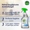 Dettol Hygiënische Multireiniger Spray