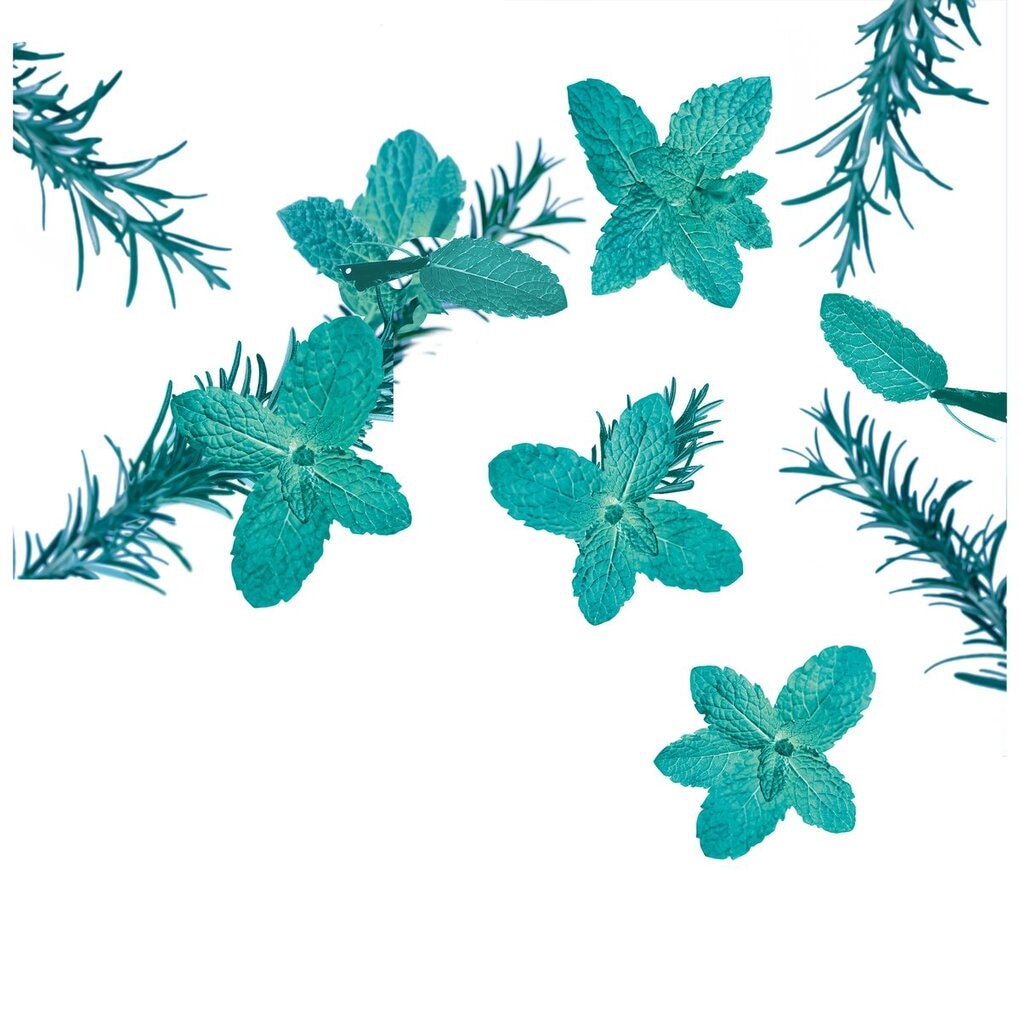 Kneipp Goodbye Stress Douche Foam