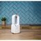 Lifetime Air Bladloze Tafelventilator