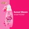 Robijn Lessive Liquide Advanced Quickwash Sunset Bloom