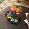 LEGO Botanicals 11505 Les Champignons des Bois