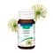 A.Vogel Cinuforce Spray Nasal Fort + Menthol