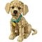 LEGO Icons Le Chiot Golden Retriever 11384