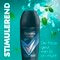 Rexona Men Advanced Protection Cobalt Dry Antitranspirant Deodorant Roller