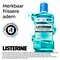 Listerine Bain de Bouche Coolmint Intense Mint