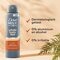 Dove Men+Care Déodorant en Spray Whole Body Cedar + Shea Butter
