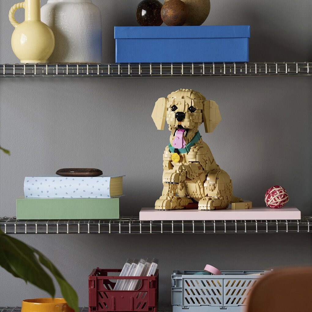 LEGO Icons Le Chiot Golden Retriever 11384