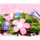 Dig Out Fairy Set