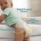 Pampers Couches Baby-Dry Taille 8