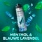 Rexona Men Advanced Protection Thermocool deospray Menthol & Blue Lavender