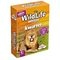 Identity Games Jeu de Quartet Wildlife Weetjes